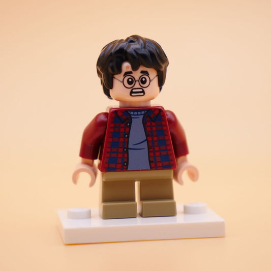 Minifig hp481