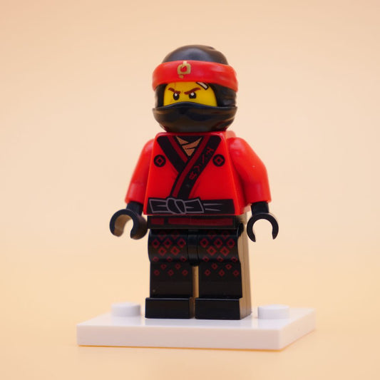 Minifig njo0349