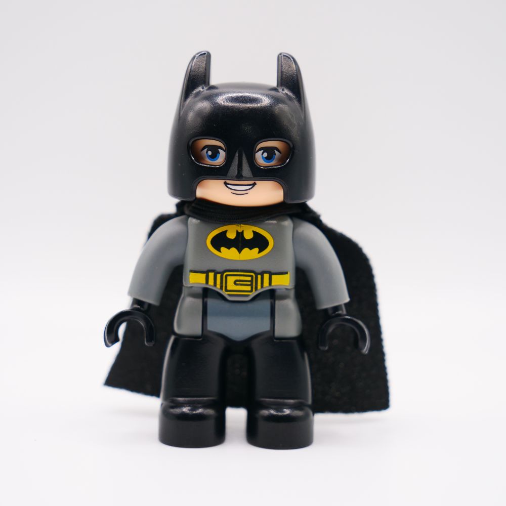 Minifig 47394pb213