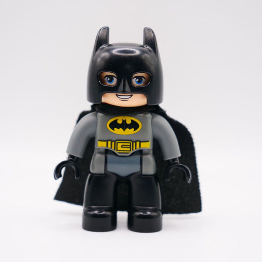 Minifig 47394pb213