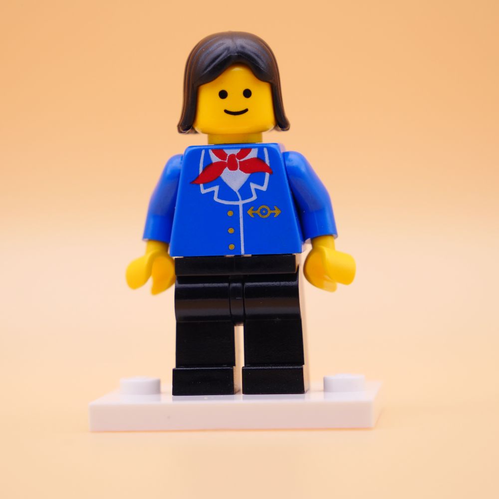 Minifig trn064