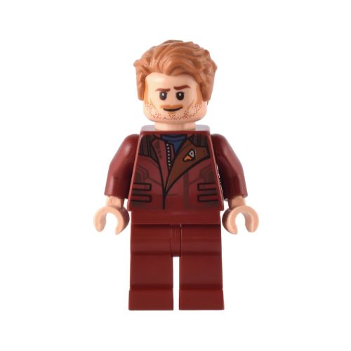 Minifig sh0834