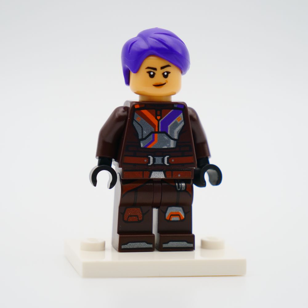 Minifig sw1395