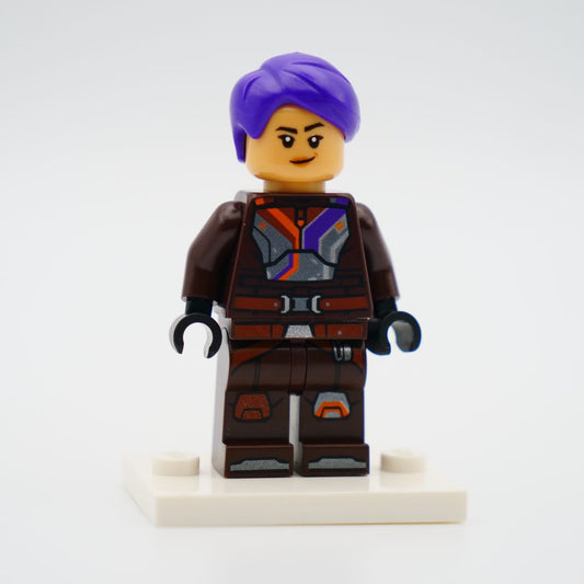 Minifig sw1395