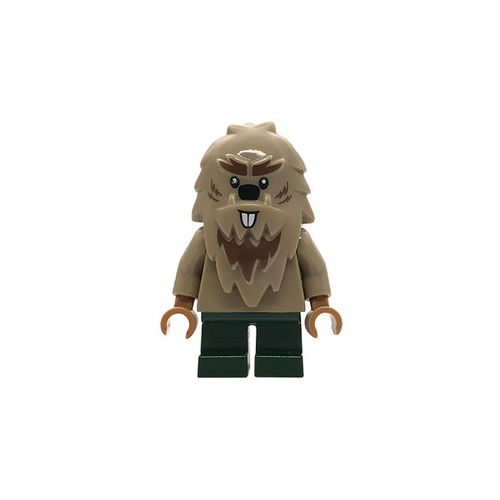 Minifig loc141