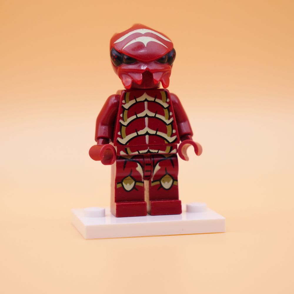 Minifig gs008