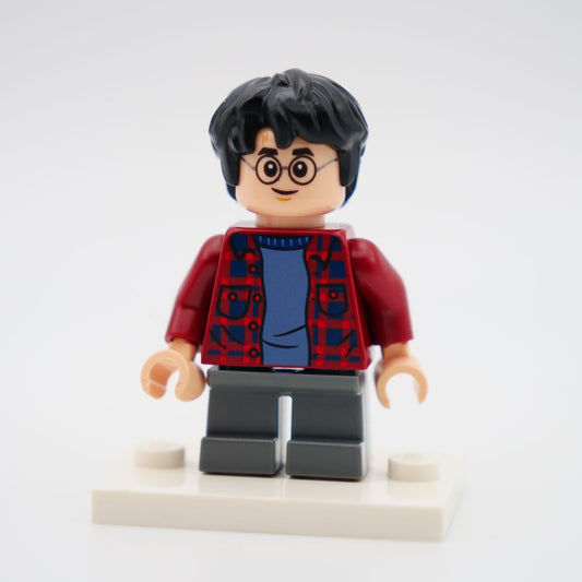 Minifig hp143
