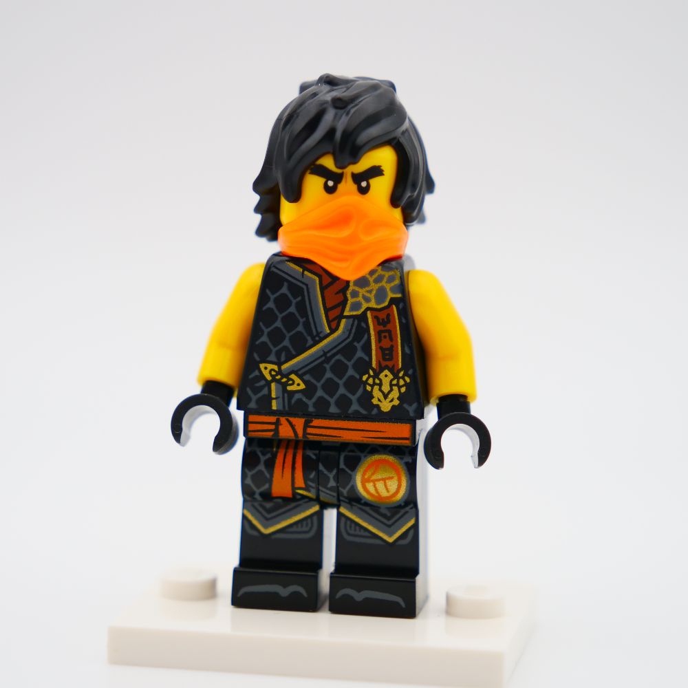 Minifig njo0894