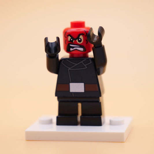 Minifig sh0251