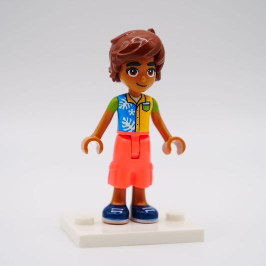 Minifig frnd0581