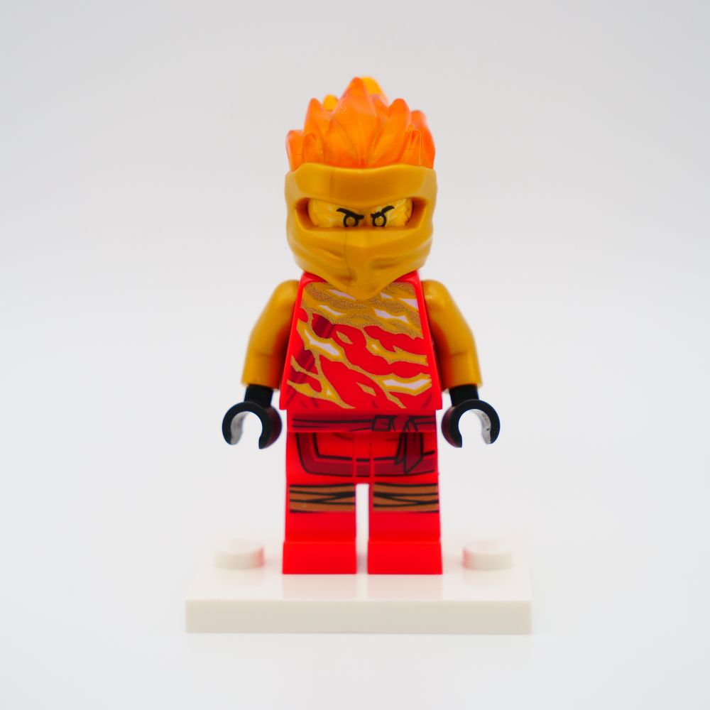 Minifig njo0530
