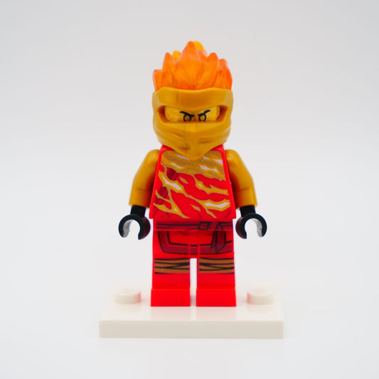 Minifig njo0530